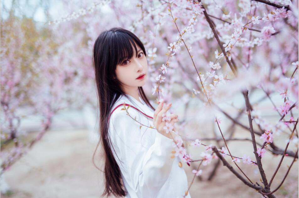 Shika小鹿鹿 - NO.47 樱花 13P92M