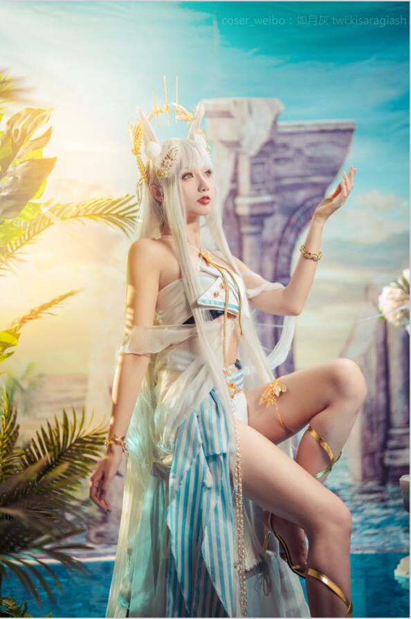 如月灰 - NO.021 Platinum ARK [17P