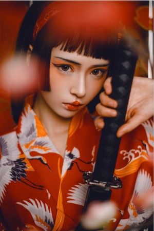 虫皿虫皿 – NO.02 日式和服武士艺伎 18P