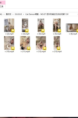 Cat Demon喵崽 – NO.07 尼尔机械纪元2B白花嫁 13V