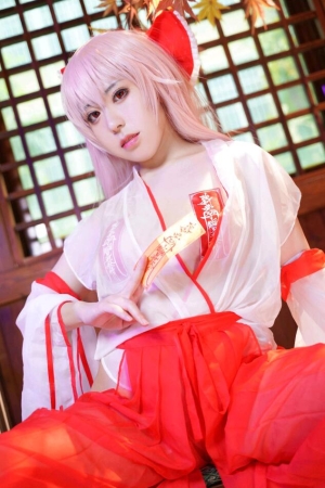 虎森森 – NO.27 巫女 60P