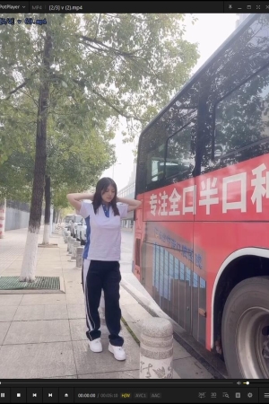 豆瓣酱 – 户外公交车 [85P+3V894m