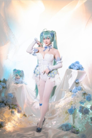 星之迟迟 VOL.217 24年02月计划A 初音未来-粉蝶花精灵 54P1V