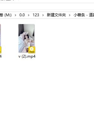 小薯条 – 道具 2v1.84g 自购