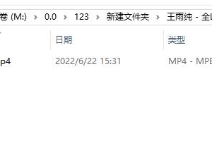 王雨纯 – 全L 1v1.52g 自购