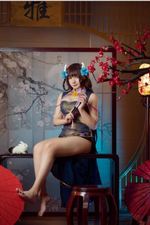 麻花酱 – NO.99 比睿旗袍+泳装 [61P