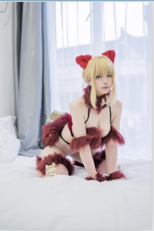 樱岛嗷 – NO.17 FGO [46P