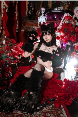 二佐Nisa NO.206 碧蓝航线 爱宕万圣节 [28P