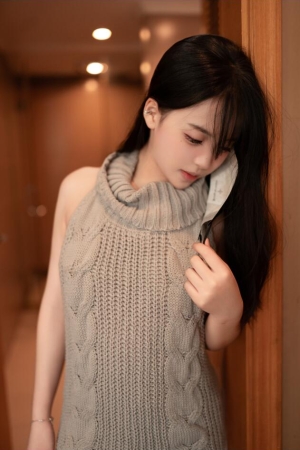 Bangni邦尼 NO.050 灰色毛衣 [85P