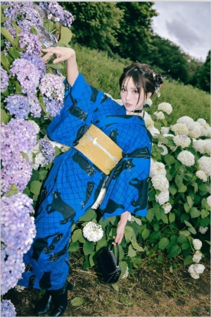 ElyEE子 – NO.202 2025年06月订阅合集 [105P11V