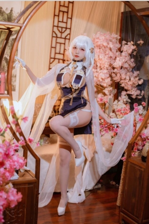 二佐Nisa NO.214 碧蓝航线 天狼星旗袍 [25P